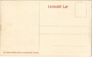 Dobsina, Dobschau; látkép. Ifj. Rábely Miklós kiadása / general view (fa)