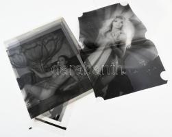 12 darab erotikus nyomdai szitanyomó mintakép, vegyes állapotban, zömmel cca 40x30 cm