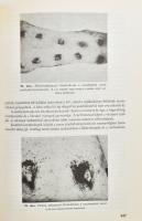 Dr. Szabó István (szerk.): Sertésegészségtan. Bp., 1984, Mezőgazdasági. Kiadói műbőrkötés