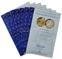 ~2002. "Emlékérem az euróövezet országainak közös valutájáról" aranyozott, ezüstözött Cu-N...