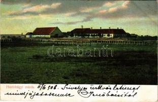 1906 Hortobágy, csárda. D.T.C.L. Ser. 271. 5. (fa)