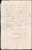 cca 1700 báró Klobusiczky Ferenc (1650 körül - 1714.) királyi személynök, Arad vármegye főispánja au...