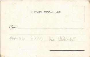 Kossuth Lajos szónokol Cegléden 1848 őszén. Divald (kis szakadás / small tear)