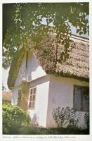 Balassa Iván: A határainkon túli magyarok néprajza. Bp.,1989, Gondolat. Kiadói egészvászon-kötés, ki...