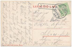 1912 Zsolna, Sillein, Zilina; Vág völgye és Posztógyár. Lövy Fülöp kiadása / , Váh river valley, clo...