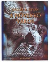 Gellér B. István: A növekvő város. Pécs, 2000, Jelenkor. Színes és fekete-fehér képekkel, többek közt Gellér B. István műveinek reprodukcióival gazdagon illusztrált. Kiadói kartonált papírkötés.