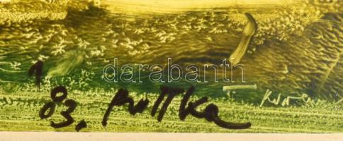 Ruttka Ferenc (1926-2019): Farönk behavazva Visegrád, olaj, karton. jelzett, múzeumi üveggel ellátot...