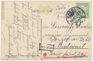 1910 Rozgony, Rozhanovce (Kassa, Kosice); Prihradny kastély / castle villa. Art Nouveau (EK)