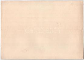 Versecz 1917. "Polgári Takarékpénztár Részvénytársaság" részvénye 500K-ról, szárazpecsétte...