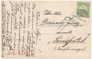 1910 Budapest, Lánchíd Bleriot repülőgépével