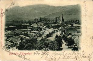 1900 Zólyom, Zvolen; Fő utca, vár. Löwy Miksa és Steiner Lajos kiadása / main street, castle (EK)