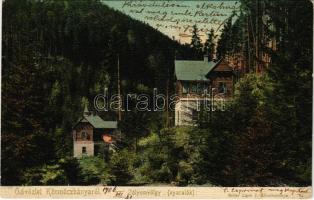 1906 Körmöcbánya, Kremnitz, Kremnica; Zólyomvölgyi nyaralók. Ritter Lipót J. kiadása / villas