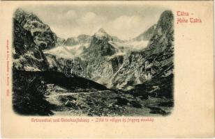 Tátra, Magas-Tátra, Vysoké Tatry; Zöld tó völgye, Frigyes menház / Chata Zeleného pleso / Grüner See / rest house (EK)