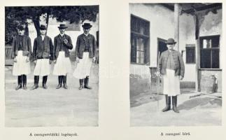 Szatmár vármegye és Szatmár-Németi sz. kir. város. Szerk.: Dr. Borovszky Samu. Magyarország vármegyé...