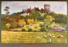 Szatmár vármegye és Szatmár-Németi sz. kir. város. Szerk.: Dr. Borovszky Samu. Magyarország vármegyé...