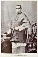 Győr vármegye. Szerk.: Dr. Borovszky Samu. Magyarország vármegyéi és városai. Magyarország monográfi...