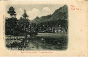 Tátra, Magas-Tátra, Vysoké Tatry; Poprádi tó és menház / Popradske pleso, chata / lake and rest house (apró lyuk / tiny pinhole)