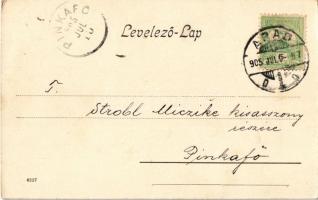 1905 Arad, 13 vértanú szobra, Ries J. és Társa üzlete, Aradi Kereskedők Köre / monument, shops (lyuk...