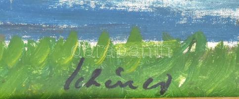 Schéner jelzéssel: Vízimalom. Olaj, karton. 72x79. Dekoratív, kissé kopott fakeretben