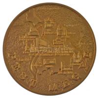 DN "Pest Megye Önkormányzata" aranyozott fém emlékérem műanyag díszdobozban (65mm) T:UNC (...