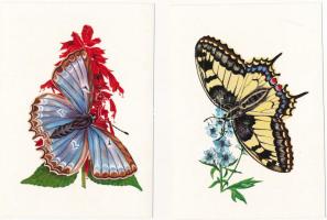 LEPKÉK - 18 db modern grafikai lap lepkékkel és pillangókkal a saját tokjában, Zombory Éva szignójával / 18 modern graphic art motive cards with butterflies in its own case, signed by Éva Zombory