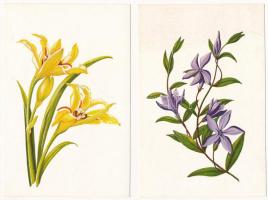 VIRÁGOK - 11db modern grafikai képeslap, Zombory Éva szignójával / 11 modern graphic art motive card...