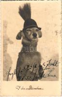 1933 I bin a Steirabua / Kutya stájer kalapban / Dog in Styrian hat