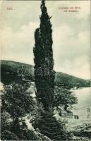 Icici (Abbazia, Opatija); Cypresse mit Blick auf Abbazia (EK)