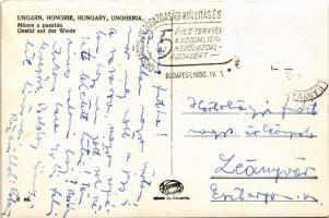 Hortobágy, Ménes a pusztán + "Országos Mezőgazdasági Kiállítás Budapest 1950" (Rb)