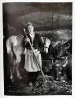 Korniss Péter: Inventar. Imagini ardelene 1967-1998. (Leltár. Erdélyi képek 1967-1998). Bp., 1998, M...