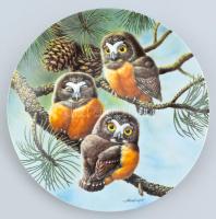 Kowles baglyos porcelán dísztál, Matricás, jelzett, hibátlan 22 cm