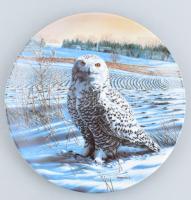 Kowles baglyos porcelán dísztál, Matricás, jelzett, hibátlan 22 cm