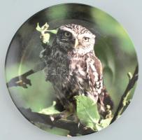 Wedgewood baglyos porcelán dísztál, Matricás, jelzett, hibátlan 20 cm