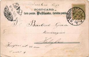 1903 Floral greeting card. Fliegende Blätter Serie 23. Kunstverlag Rafael Neuber. litho (EB)