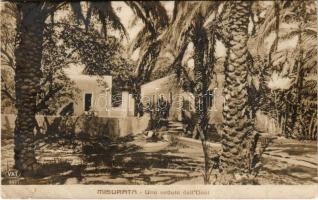 1912 Misrata, Misurata; Una veduta dellOasi (fa)