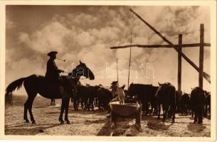 Hortobágy, csikós, magyar folklór. Photo Weinstock