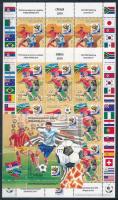 Football World Cup South-Afrika minisheet pair + block, Labdarúgó VB Dél-Afrika kisívpár + blokk