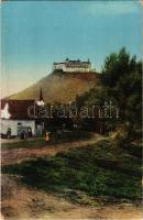 Krasznahorkaváralja, Krásnohorské Podhradie (Rozsnyó, Roznava); vár / Hrad Krásna Horka / castle (felszíni sérülés / surface damage)