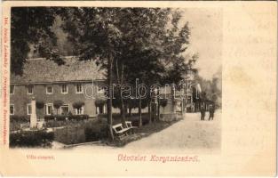 Koritnyica, Korytnica; Villa csoport, szobor. Lechnitzky O. 144. / villas, statue (EK)