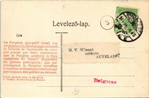 1910 Budapest I. Budai látkép a vár nyugati oldaláról, Dr. Strassburger Schmidt et Schulze "Le ...