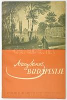 Nyilas Márta: Arany János Budapestje. Bp., 1957, Fővárosi Szabó Ervin Könyvtár, 43+(1) p. Fekete-fehér képekkel illusztrált. Kiadói papírkötés.