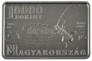 2015. 10.000Ft Ag "Duna-Ipoly Nemzeti Park / Havasi cincér" tanúsítvánnyal, színes MNB táj...