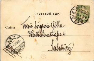 1903 Budapest VI. Hunyadi tér, Hoffman kávéház (fl)