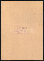 cca 1960 Hölgy virágos ruhában, kartonra kasírozott, kézzel színezett fotó Szipál budapesti műterméb...