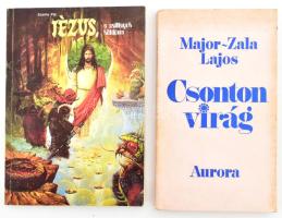 2 db könyv: Szente Pál: Jézus, a csillagok küldötte. Bp., 1989, Horizont. Kiadói papírkötés. A szerző által DEDIKÁLT. + Major-Zala Lajos: Csonton virág. München, 1972, Aurora. Emigráns kiadás. Kiadói papírkötés, kissé sérült, az előzéklapon ajándékozási sorokkal (dedikáció?).