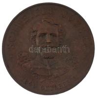 1905. Schweidel József 1849 október 6. / 1905 Zombor május 18. bronz emlékérem (36mm) T:AU