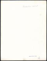 cca 1940 Budaörsi szüret, Reich Péter Cornel pecséttel jelzett fotója, szép állapotban, 24×18 cm