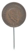 1959. "100 éves a Kossuth Lajos Állami Általános Iskola" bronz jelvény (21mm) T:AU