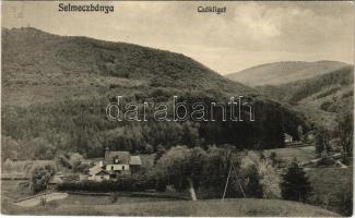 Selmecbánya, Schemnitz, Banská Stiavnica; Kisiblye (Csókliget). Grohmann kiadása / Kysihybel valley