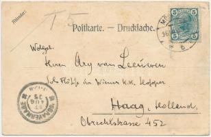 1905 Mödling, Klausen (wet damage)